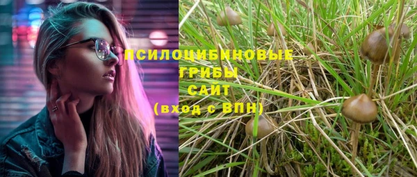 марихуана Бородино